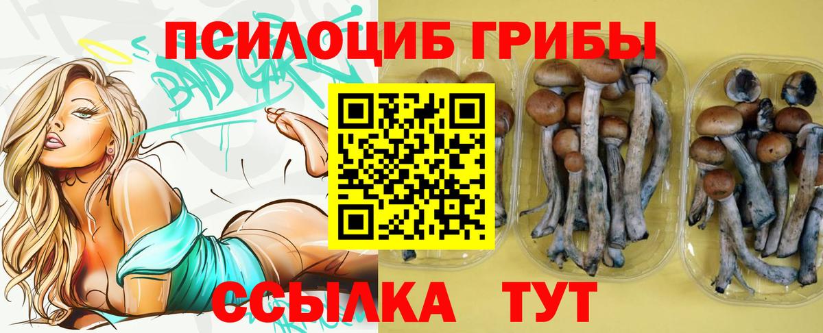 Псилоцибиновые грибы Psilocybe  Вход с VPN  Симферополь  Псилоцибиновые грибы ЛСД 